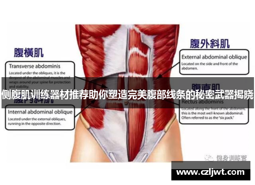 侧腹肌训练器材推荐助你塑造完美腹部线条的秘密武器揭晓