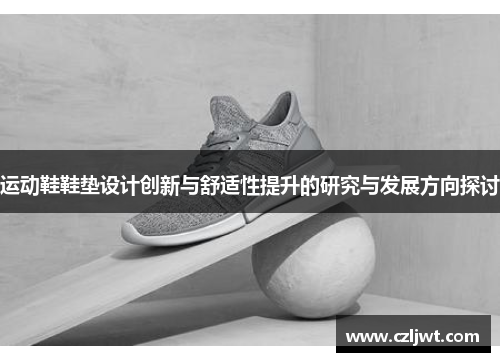 运动鞋鞋垫设计创新与舒适性提升的研究与发展方向探讨