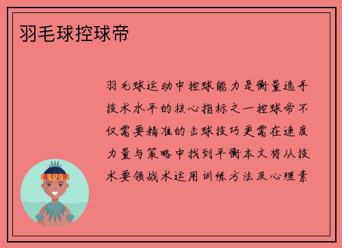 羽毛球控球帝